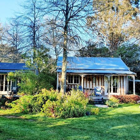 Bumblebee Cottage Greytown Dış mekan fotoğraf