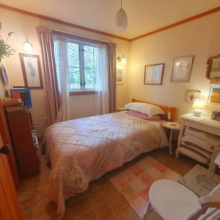 Bumblebee Cottage Greytown Dış mekan fotoğraf