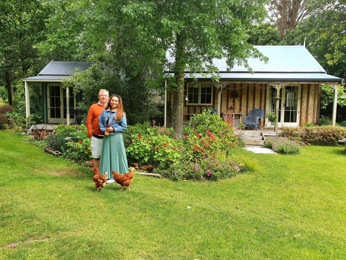 Bumblebee Cottage Greytown Dış mekan fotoğraf