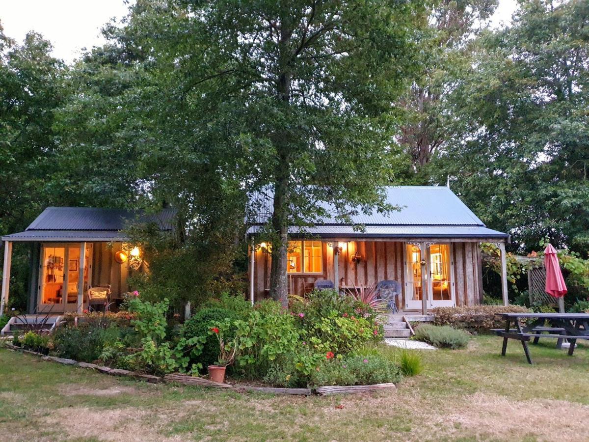 Bumblebee Cottage Greytown Dış mekan fotoğraf