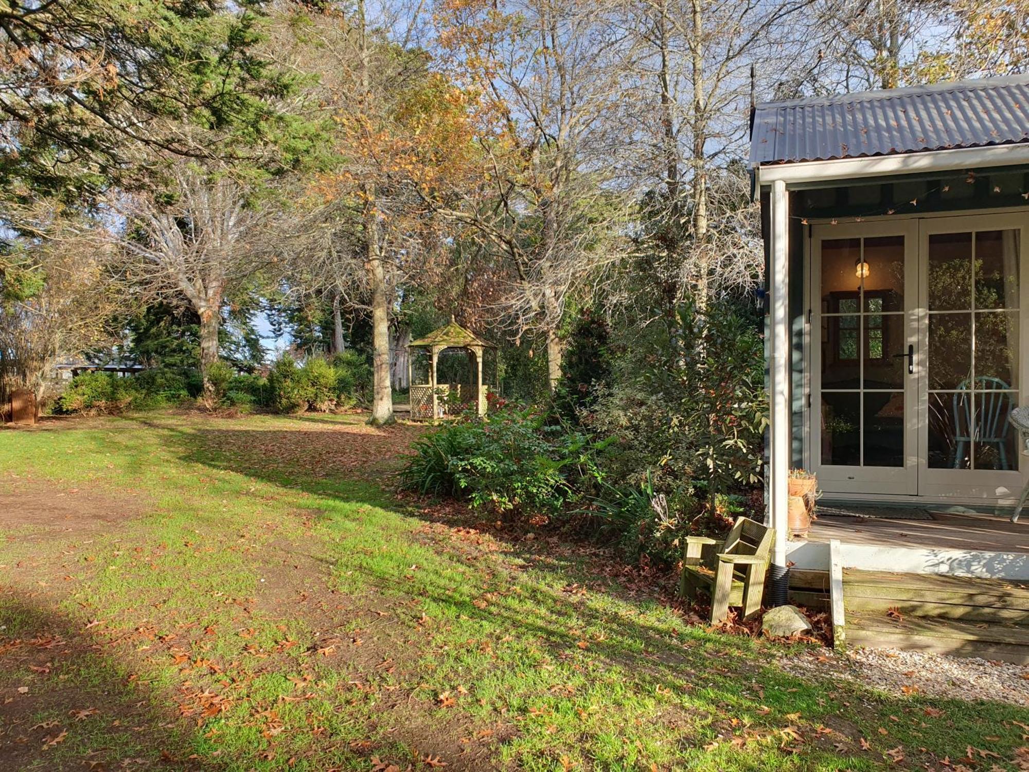 Bumblebee Cottage Greytown Dış mekan fotoğraf