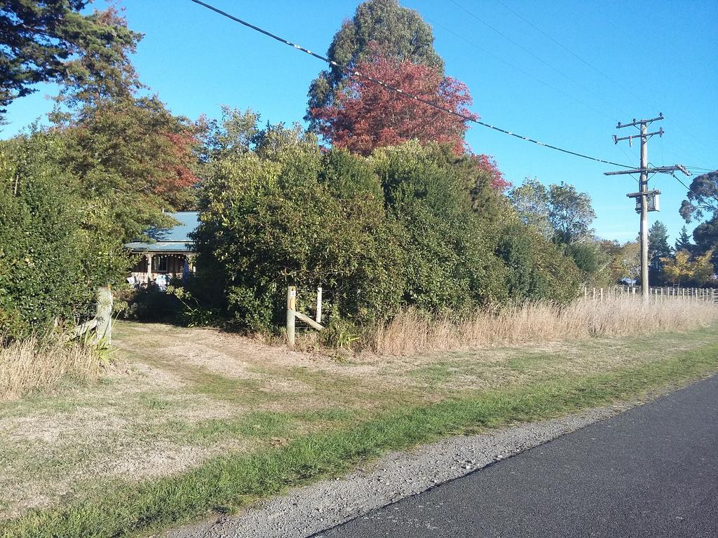 Bumblebee Cottage Greytown Dış mekan fotoğraf